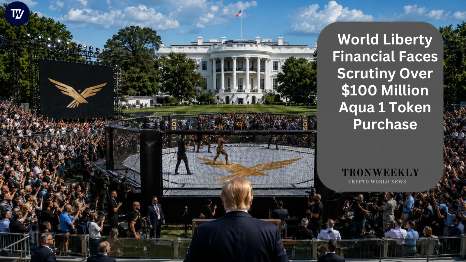 World Liberty Financial Under Scrutiny Over $100 Million Token Purchase by Aqua 1