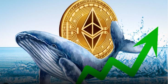 Участник ICO Ethereum перевёл ETH на $5 млн спустя 11 лет, превратив $831 в доходность 6 068x