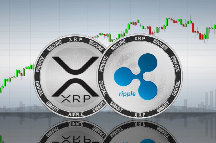 Largest XRP Treasury Discloses 50% Executive Bonuses Ahead of Nasdaq Debut