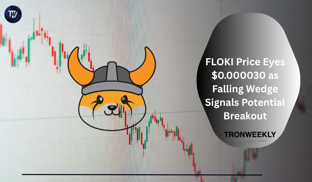 El precio de FLOKI apunta a $0.000030 mientras una cuña descendente anticipa una posible ruptura al alza