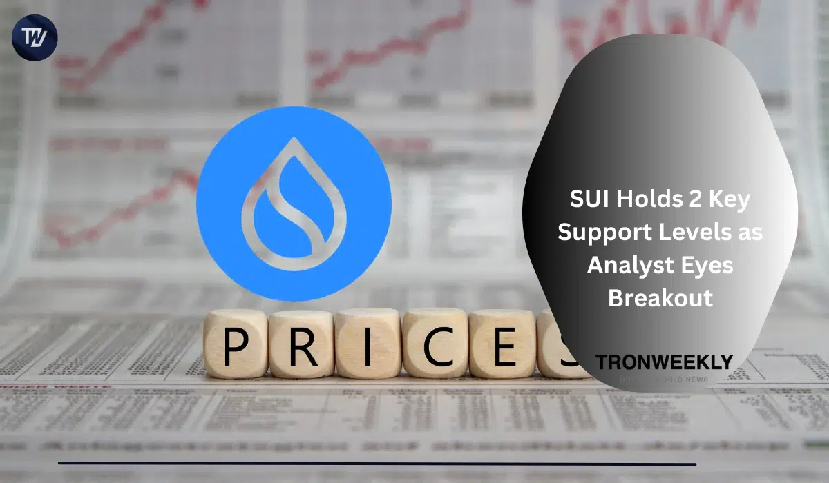 SUI Defends Key Support Levels as Analyst Highlights Breakout Potential