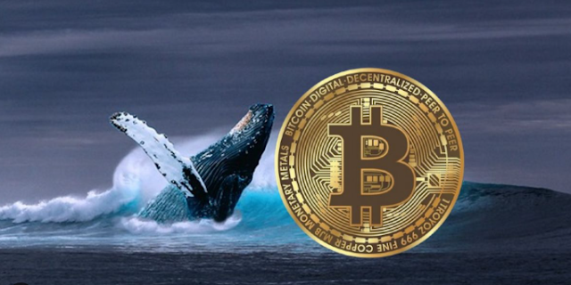 Bitcoin Whale Partially Closes $114 Million Short as BTC Rises, Retains Nearly $99 Million Position