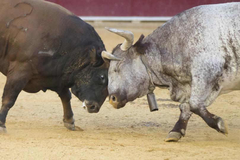 Bitcoin-Bullen vor beispiellosem Test, da 30-jährige TIPS-Rendite 17-Jahres-Hoch erreicht