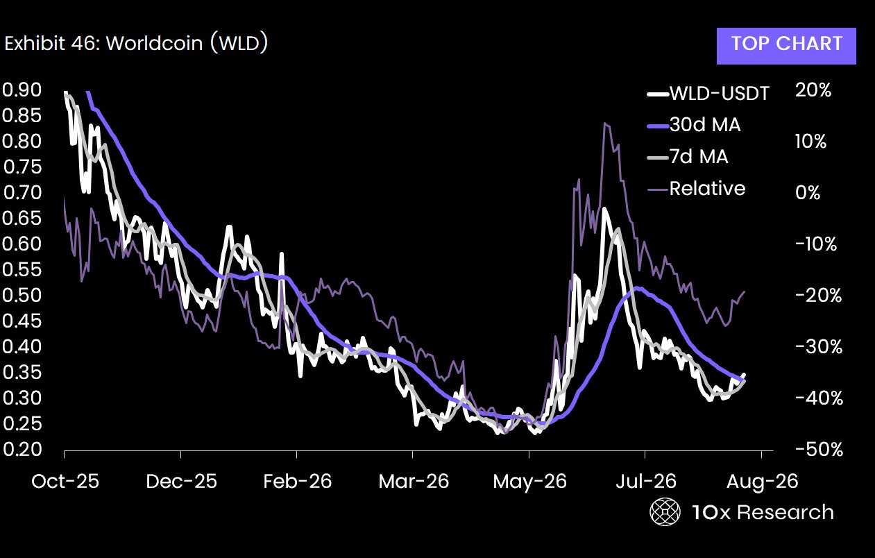 分析師看好 WLD 上漲潛力,Worldcoin 獲市場關注