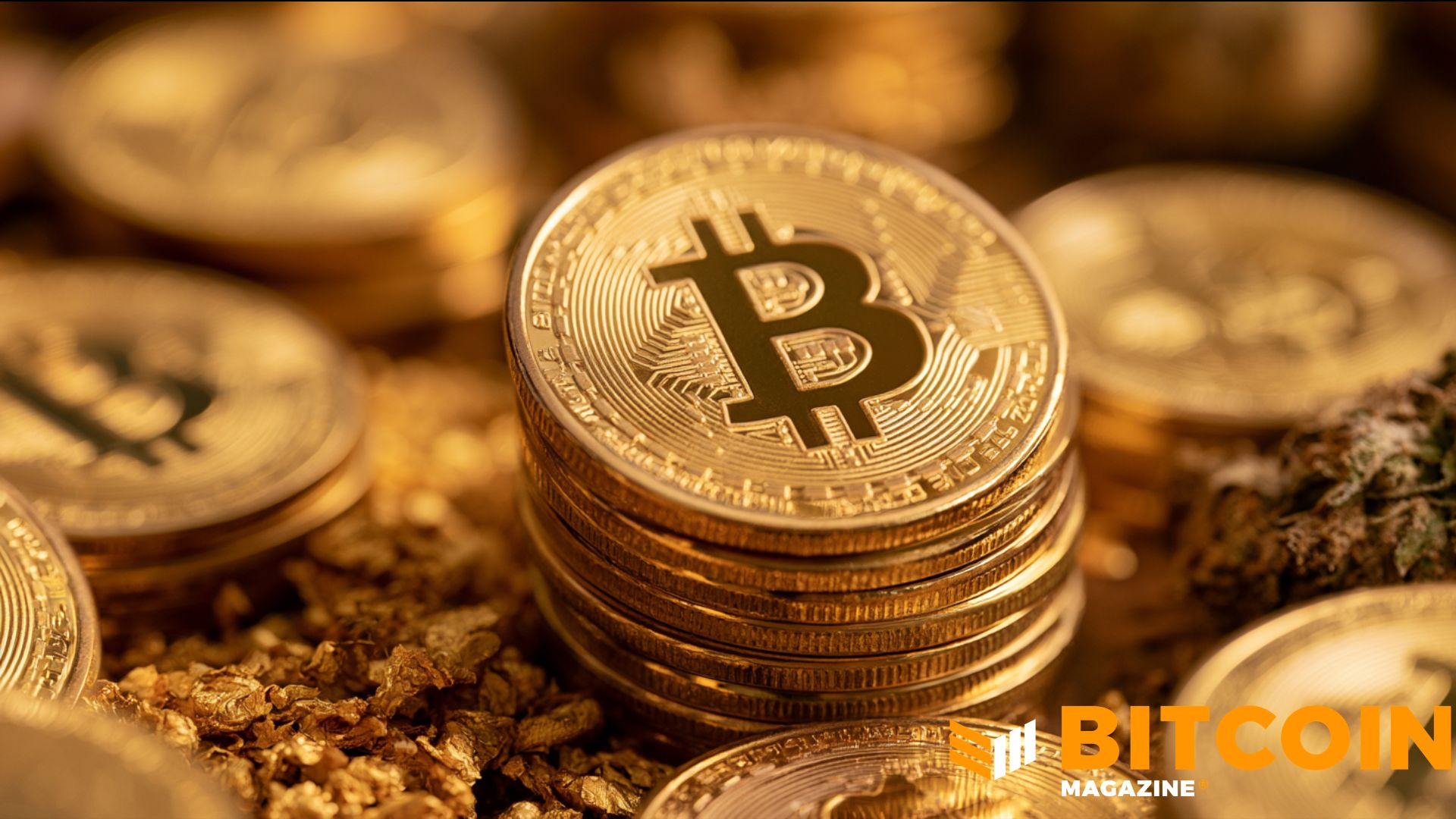 Edelman Financial i Tudor Investment ujawniają znaczące pozycje w bitcoinowych ETF-ach