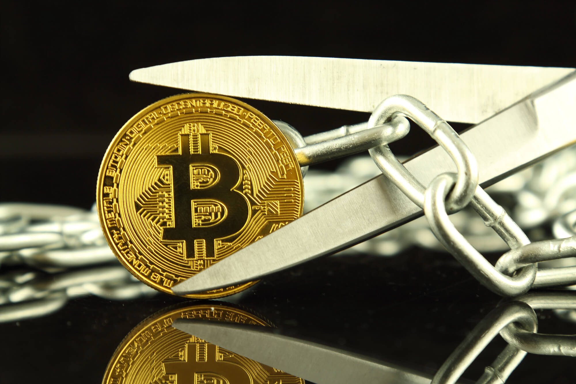 Bitcoin Splits into Two Chains as BIP-110 Minority Fork Stalls After Two Blocks