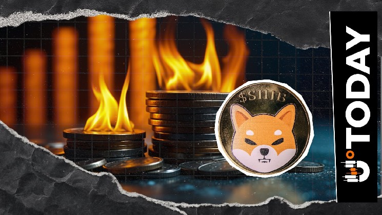 Shiba Inu сжёг 39.23 млн SHIB за 24 часа — суточный темп сжигания вырос более чем на 88%
