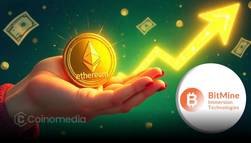 Резервы Ethereum компании Bitmine достигли 5,8 млн ETH после очередного пополнения казначейства