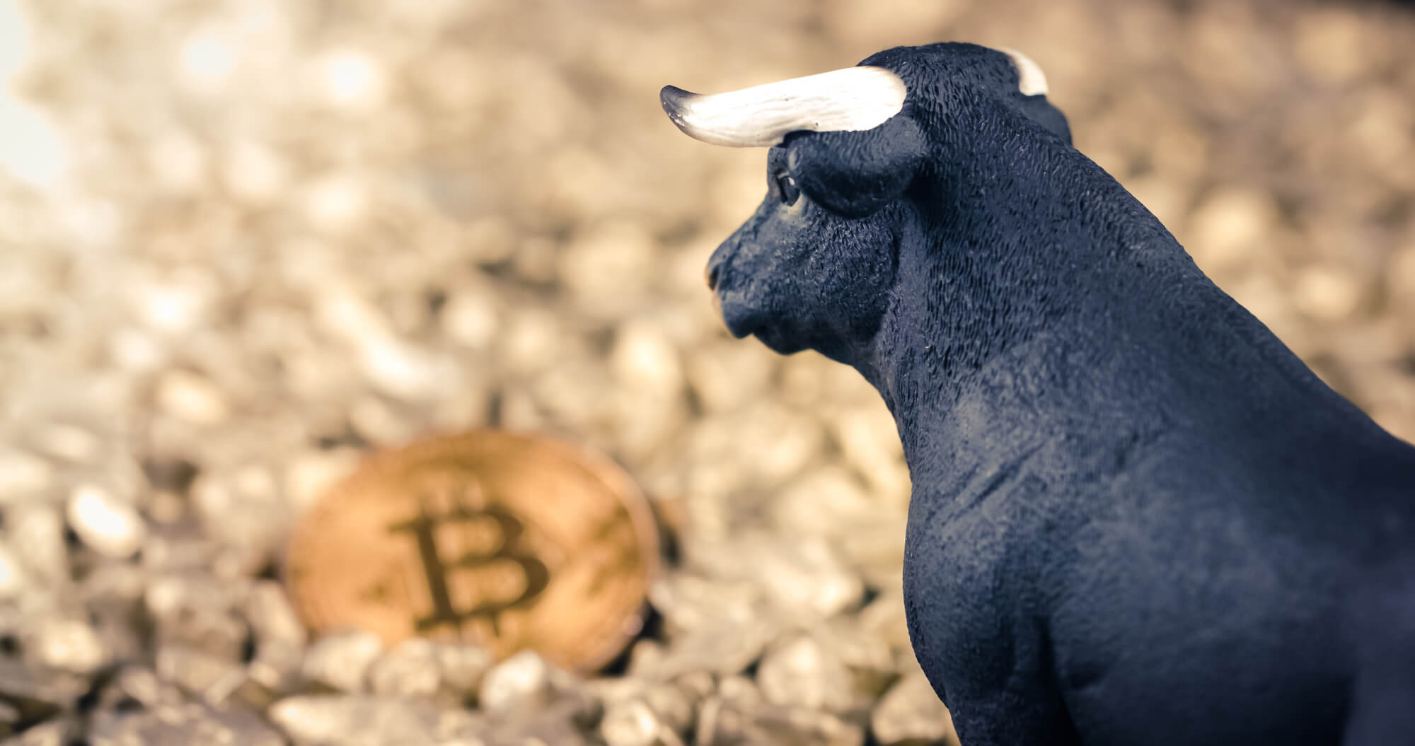 Un short squeeze record sur Bitcoin liquide 3,3 milliards USD de positions vendeuses et fait repasser le prix au-dessus de 70 000 USD