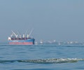 Indeks Baltic Dry rośnie drugi dzień z rzędu, ale kończy tydzień spadkiem