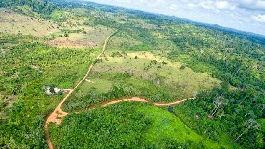 La Cour suprême du Brésil confirme des règles intérimaires autorisant les Cinta Larga à exploiter légalement leurs territoires