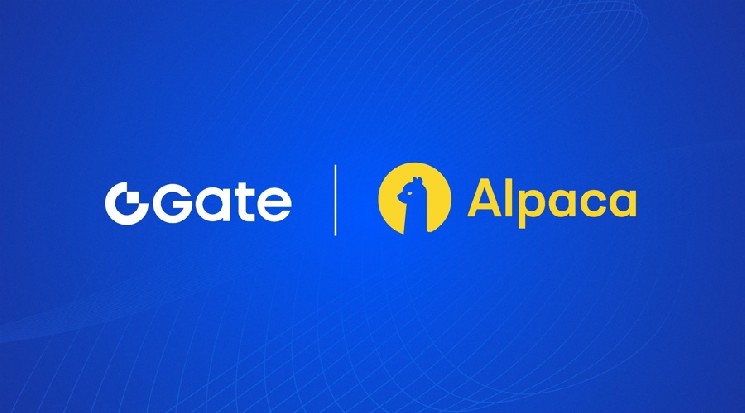 Gate nawiązuje współpracę z Alpaca, oferując 10 000 amerykańskich akcji i ETF-ów, podążając śladem Binance na rynek tradycyjnych papierów wartościowych