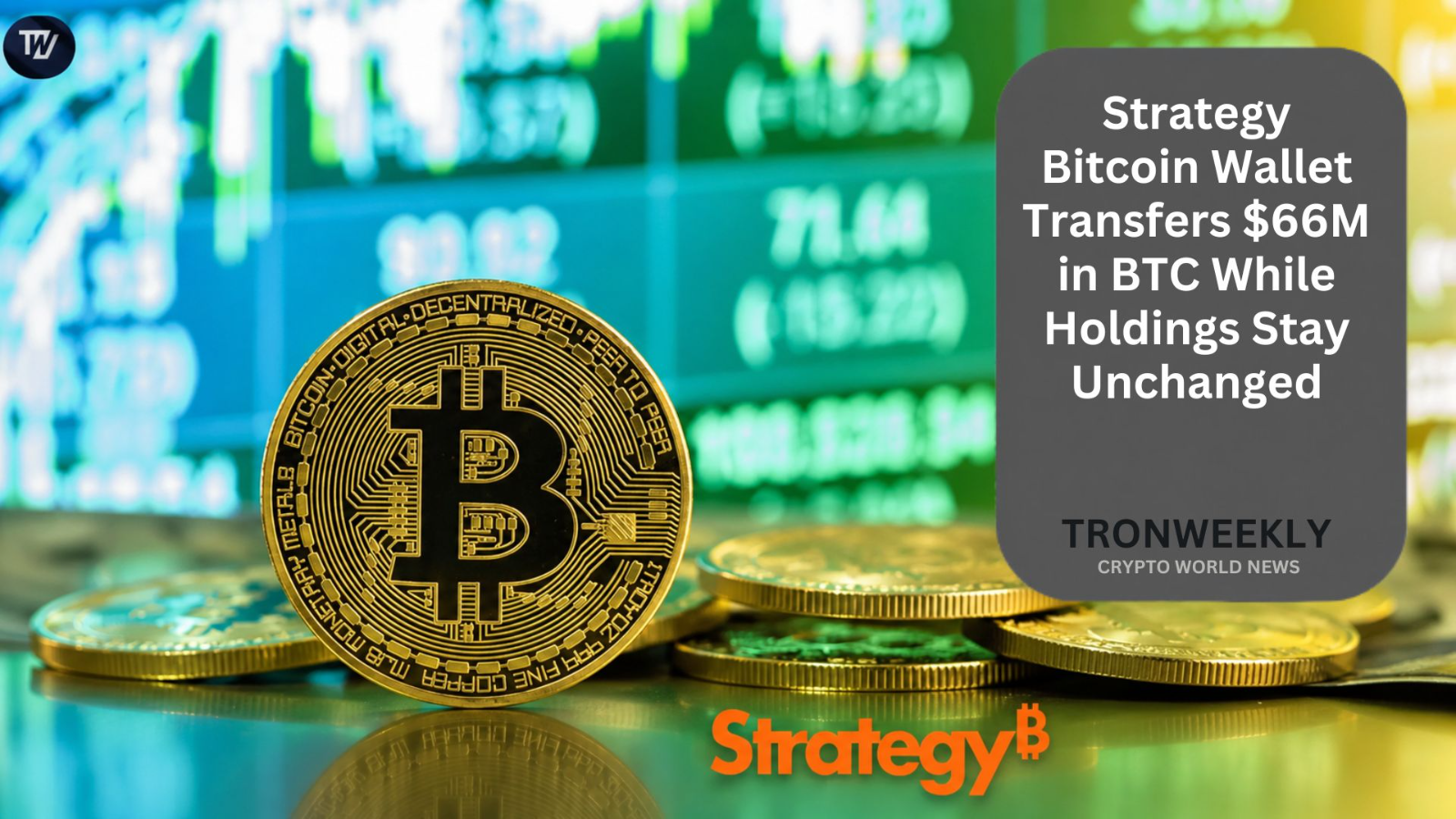 Биткоин-резервы Strategy не изменились после перевода кошелька на $66 млн