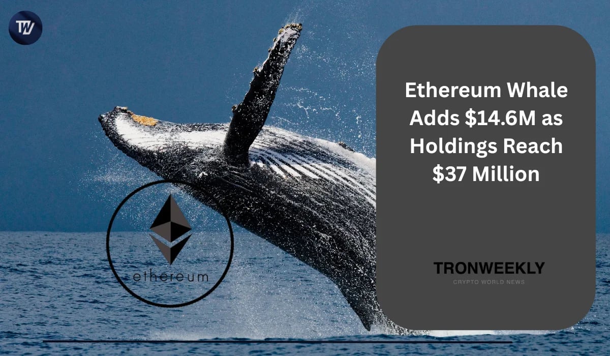 Ethereum Whale Suma $14.6 Millones en ETH y Eleva sus Tenencias a $37 Millones
