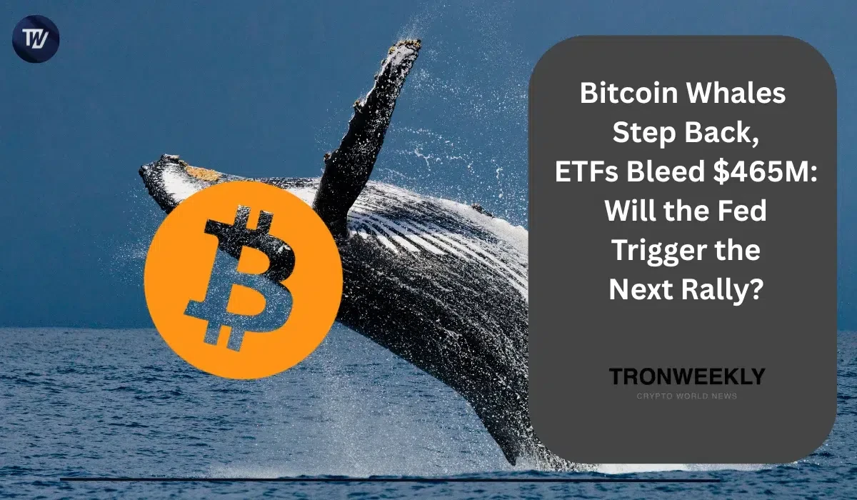 ビットコインの大口保有者が後退、ETFは4億6500万ドルの流出 FOMC会合前に次の上昇局面は来るのか