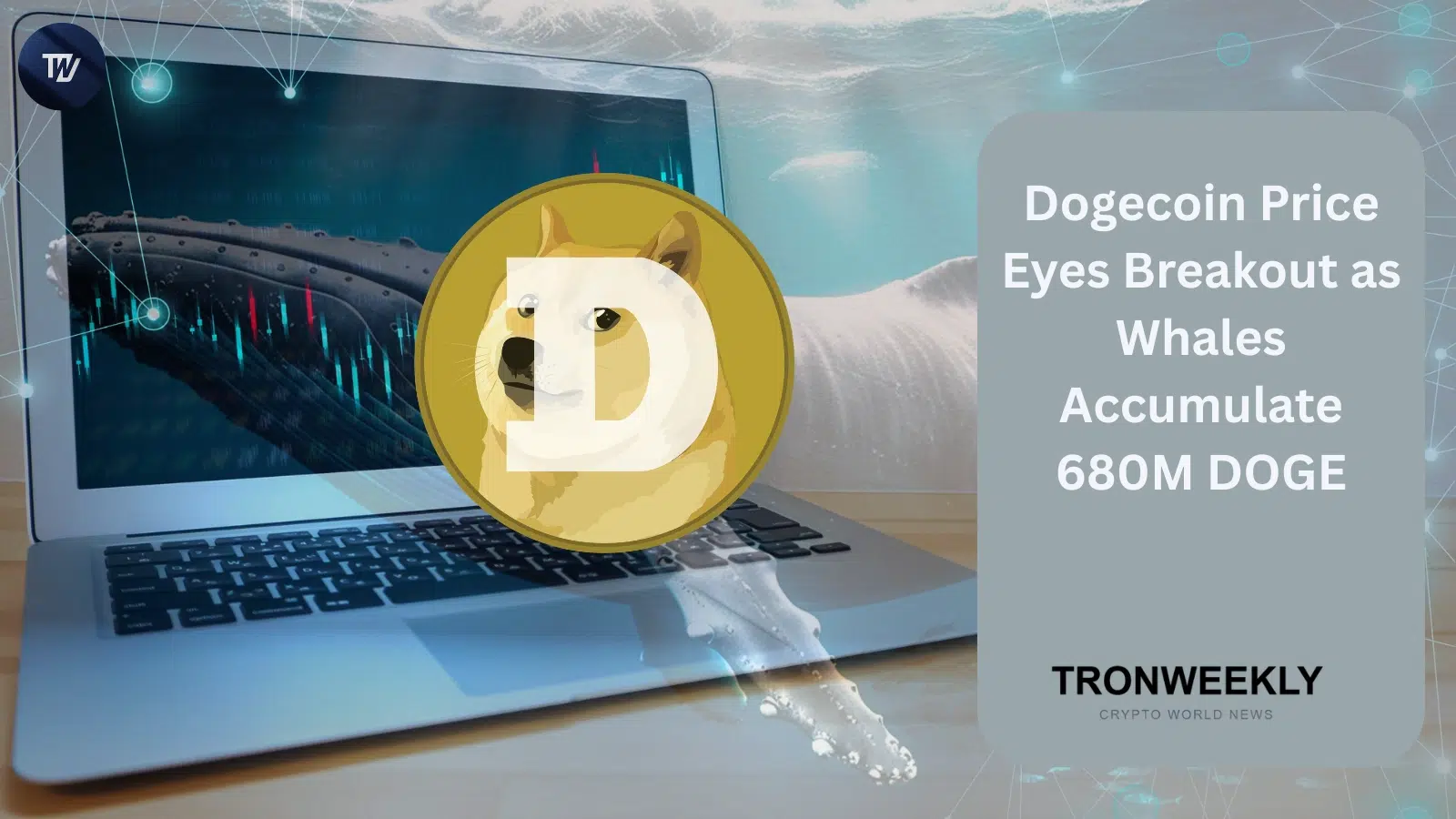 Dogecoin нацелен на прорыв, поскольку киты накапливают 680 млн DOGE на фоне спекуляций о снижении ставки ФРС