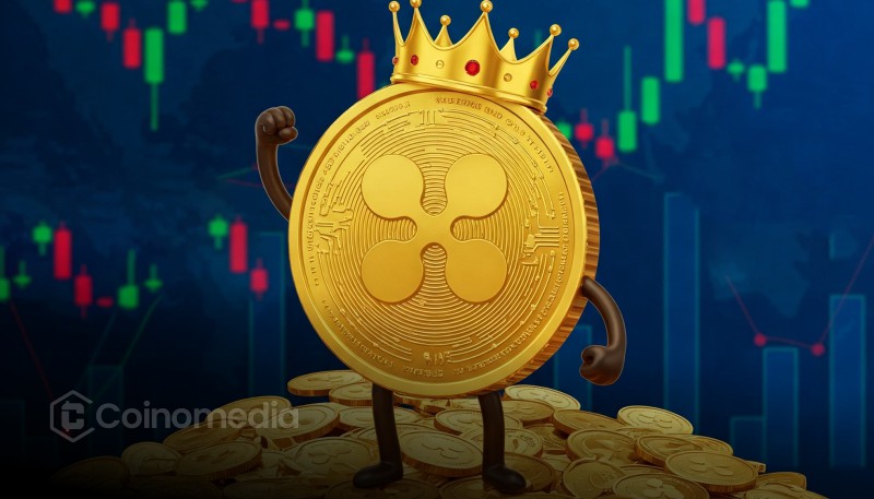 Ripple Prime Brokerage Arm Raises $275 Million in Bond Sale