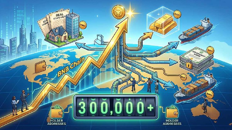 BNB Chain достиг исторического максимума в принятии RWA, превысив 300,000 держателей токенов