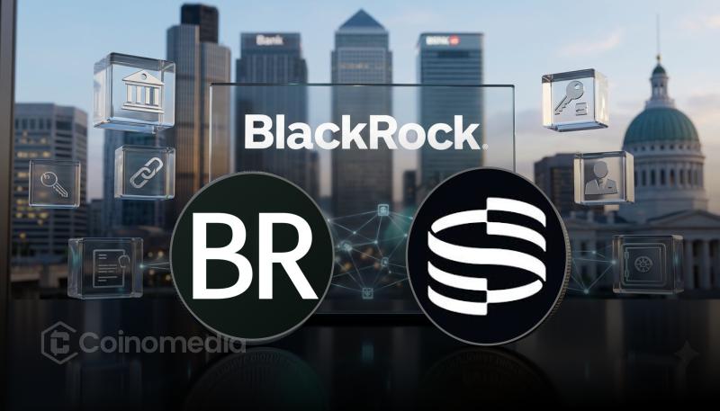 BlackRock Launches BSTBL and BRSRV Tokenized Money Market Funds