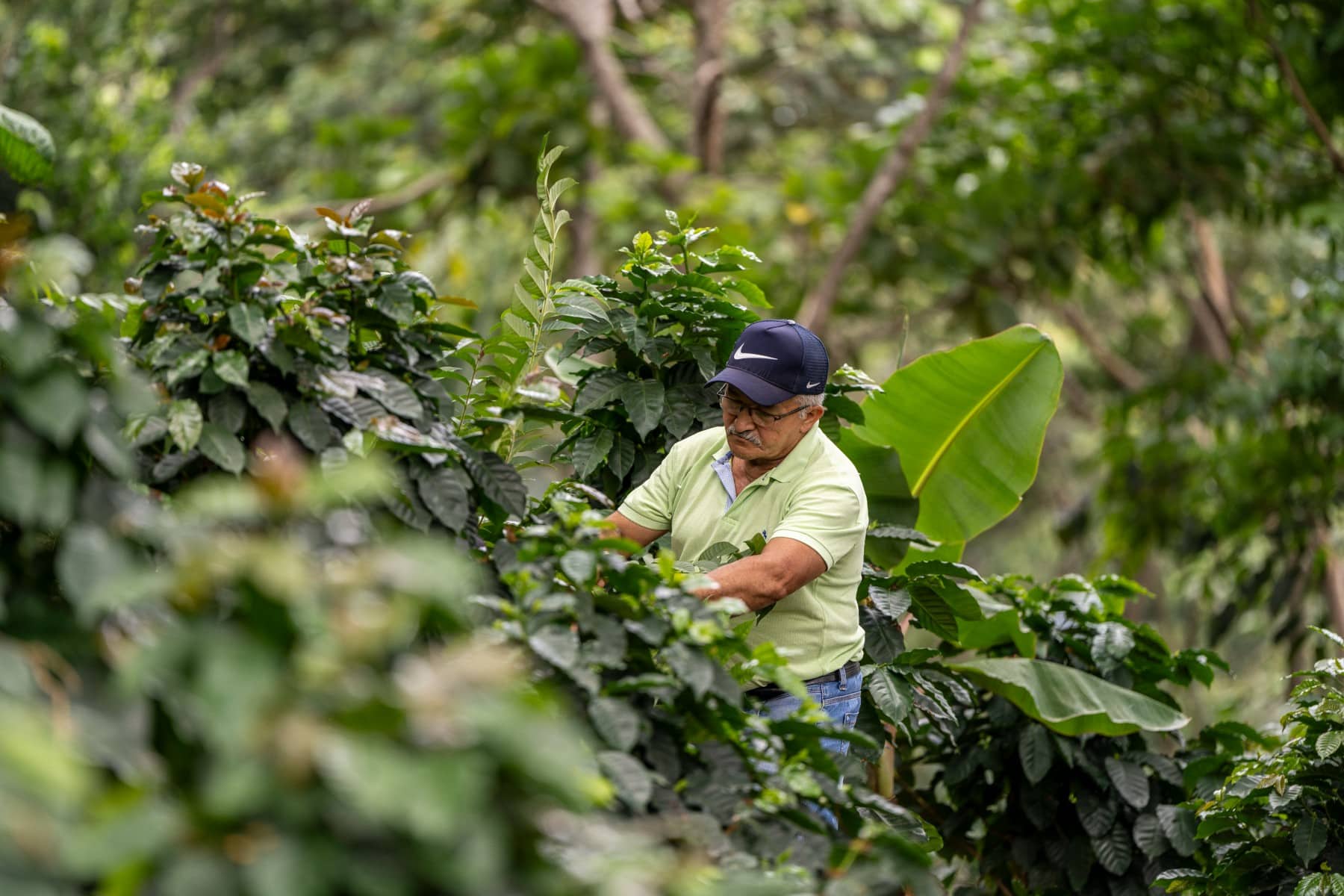 Fairtrade to Raise Minimum Coffee Prices Starting December 2026