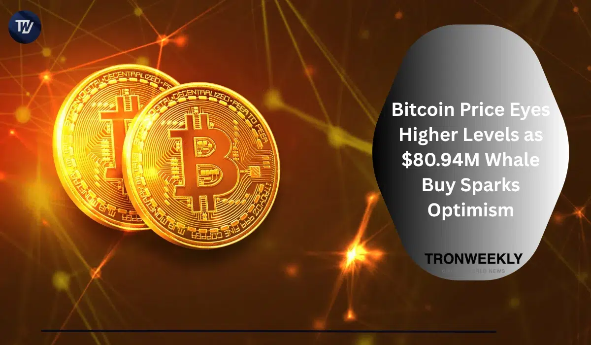 Bitcoin нацелен на восстановление: вывод $80.94 млн крупным игроком с Binance сигнализирует о накоплении