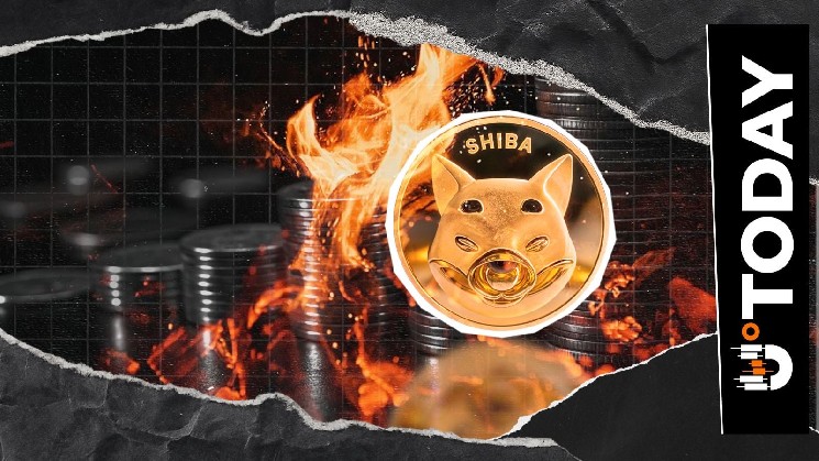 La tasa de quema de Shiba Inu se dispara un 441% tras un fuerte repunte del precio