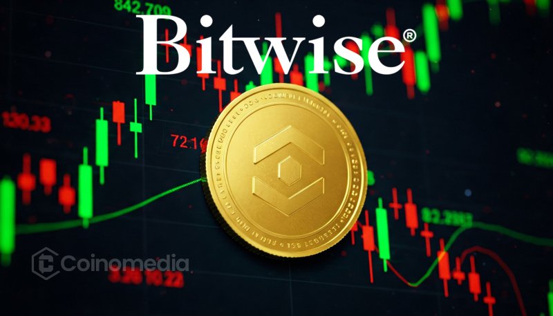 Bitwise сокращает штат на 14% на фоне спада на крипторынке