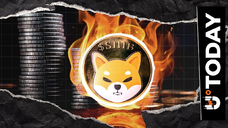 Oltre 3 milioni di SHIB bruciati in 24 ore mentre il tasso di burn continua a diminuire