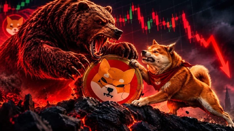 Shiba Inu spada o 16% pod silną presją podażową, ale bycza struktura pozostaje nienaruszona