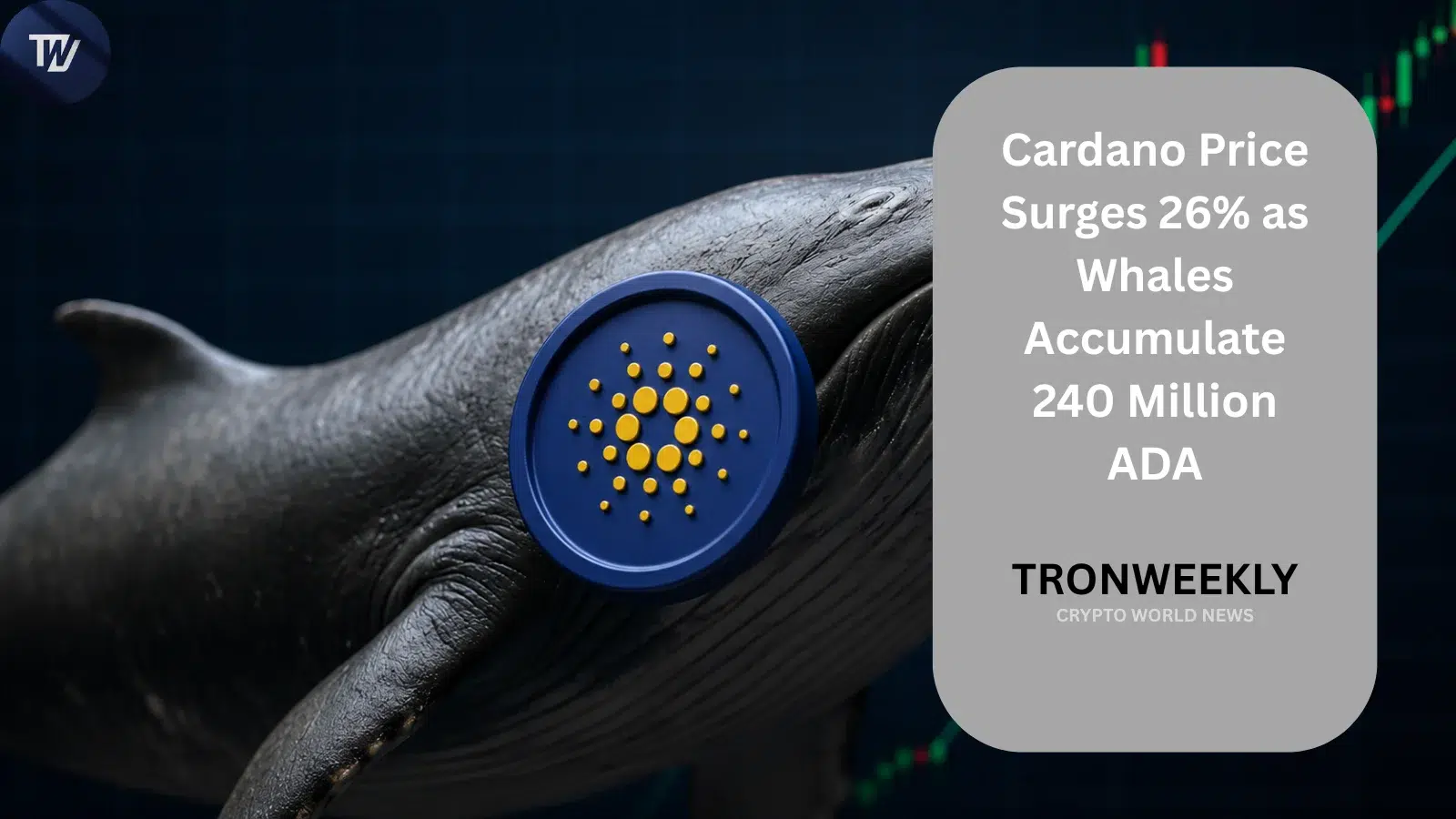Cardano Surges 26% as Whales Accumulate 240 Million ADA