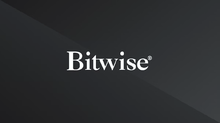 Bitwise Asset Management сократила 14% персонала на фоне затяжного спада крипторынка
