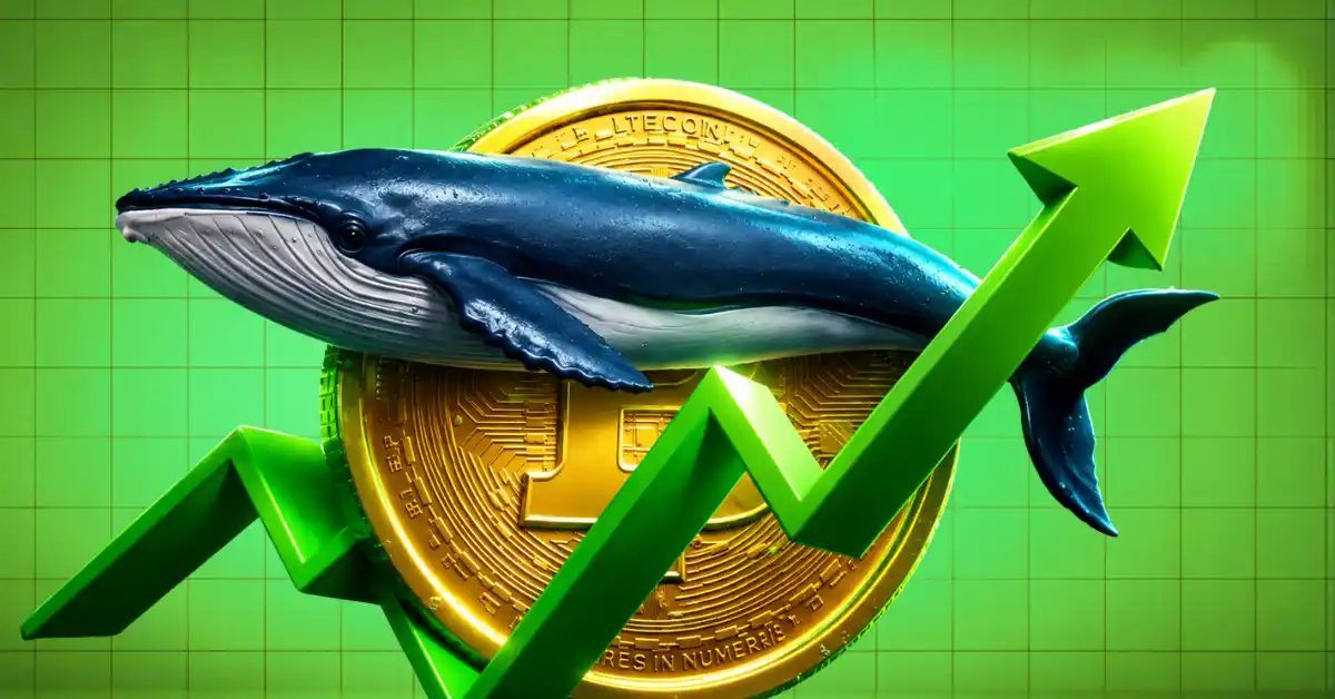Индикаторы Bitcoin указывают на стратегическую зону накопления для долгосрочных инвесторов