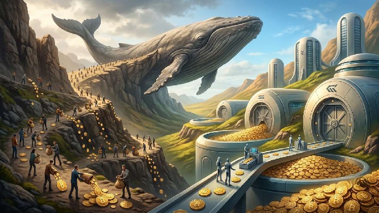 Bitcoin переживает ротацию держателей: мелкие кошельки продают, крупные инвесторы накапливают