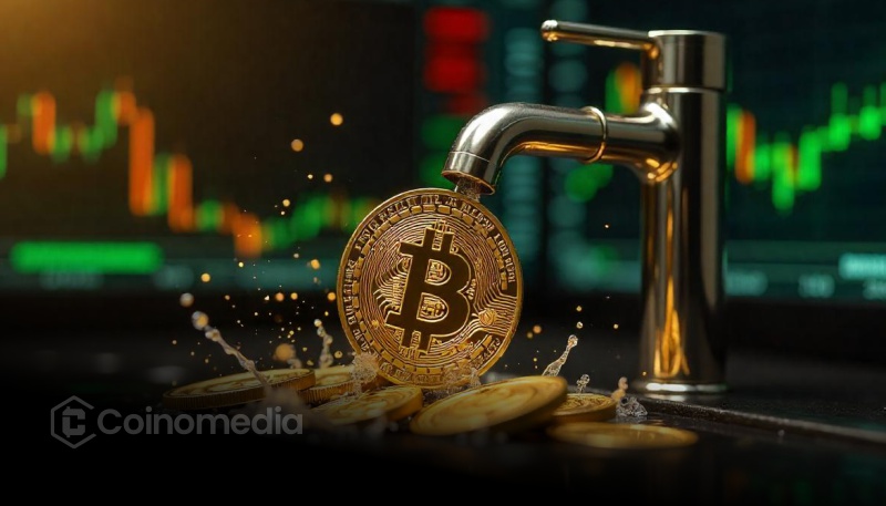 比特币突破77,000美元,加密货币清算额达12.4亿美元