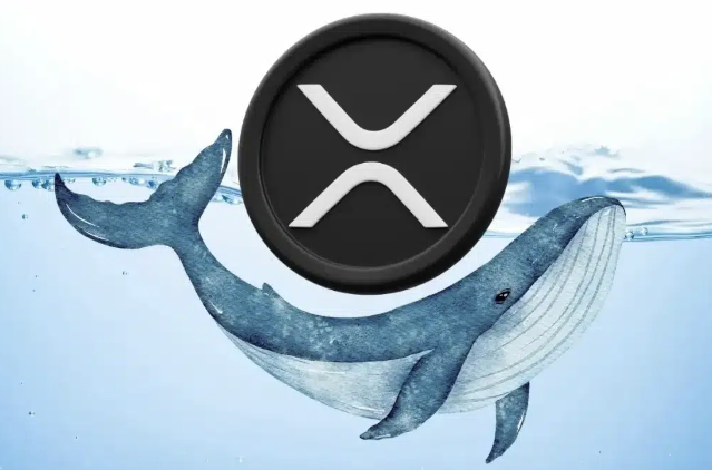 XRP-whales verzamelen 330 miljoen tokens in 96 uur terwijl bezit uitkomt op 16,36 miljard