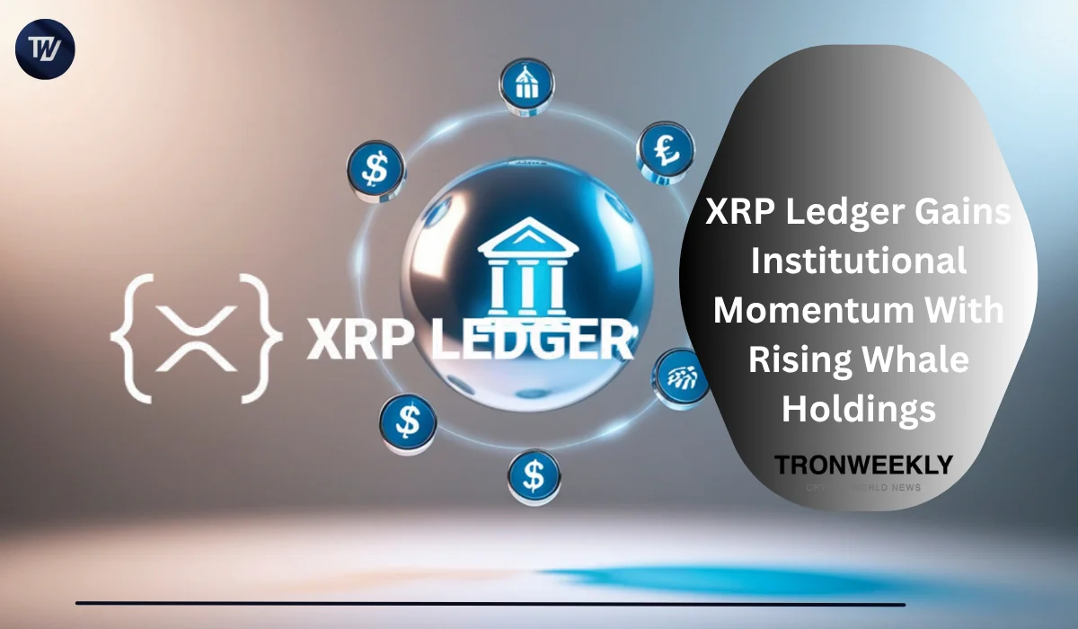 XRP Ledger привлекает институциональный интерес на фоне роста доли крупных держателей и расширения токенизированных казначейских активов