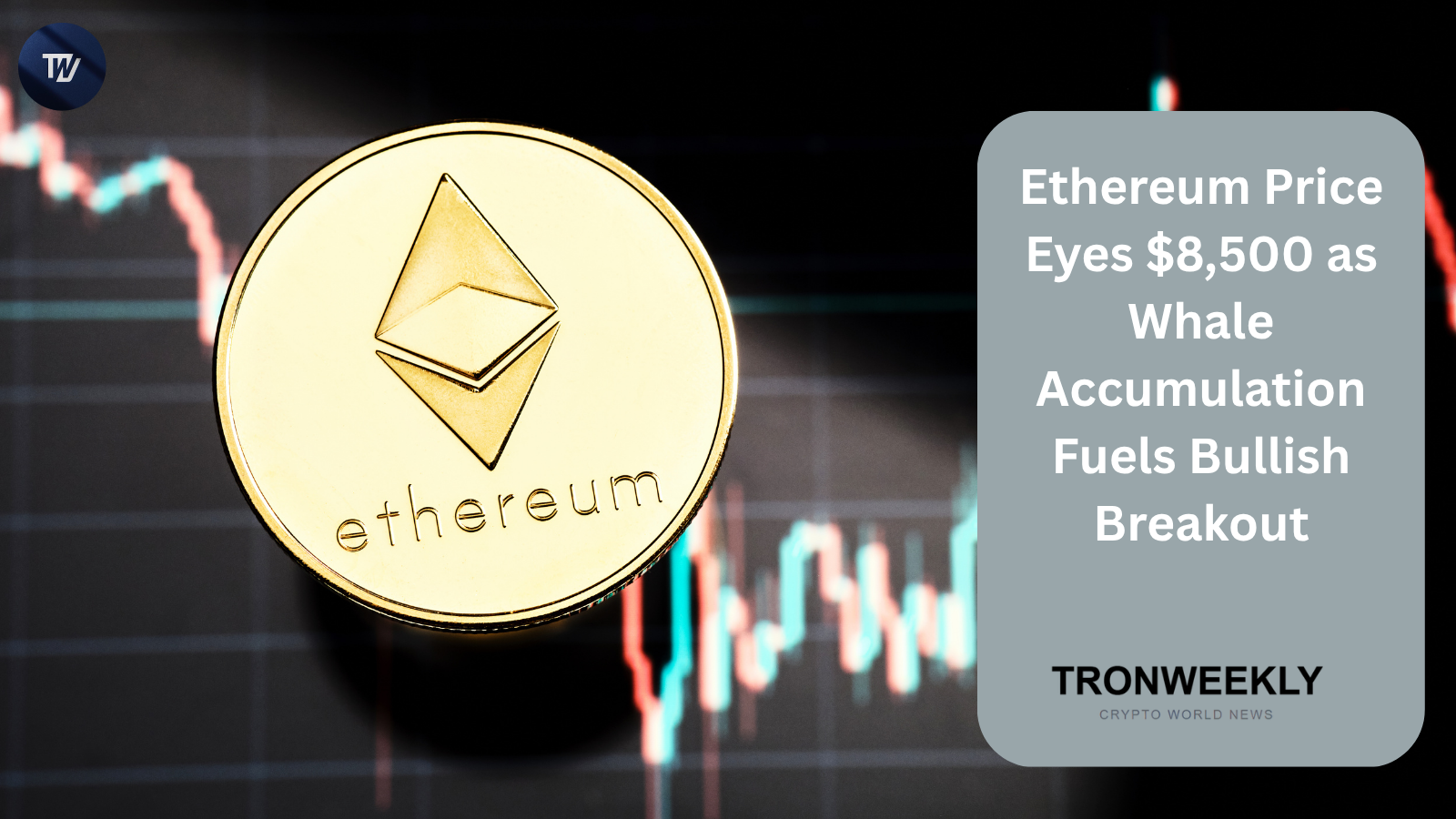 Ethereum vise les 8 500 dollars alors que les baleines accumulent 121 millions de dollars d'ETH
