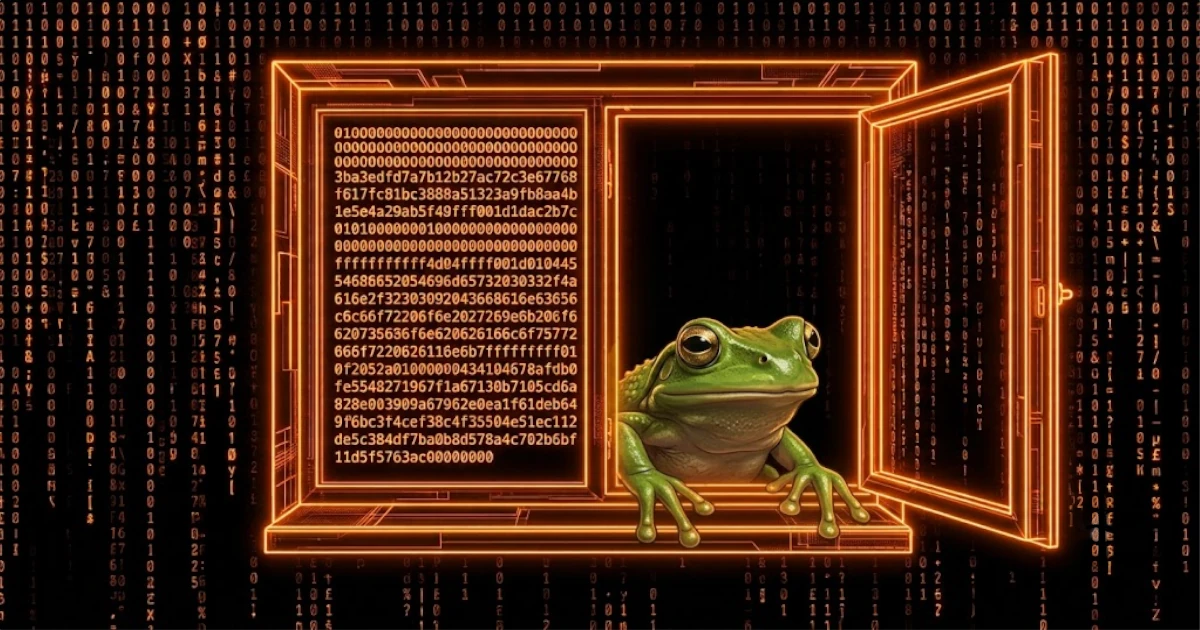 Escaneé toda la cadena de bloques de Bitcoin en busca de imágenes. Esto fue lo que encontré