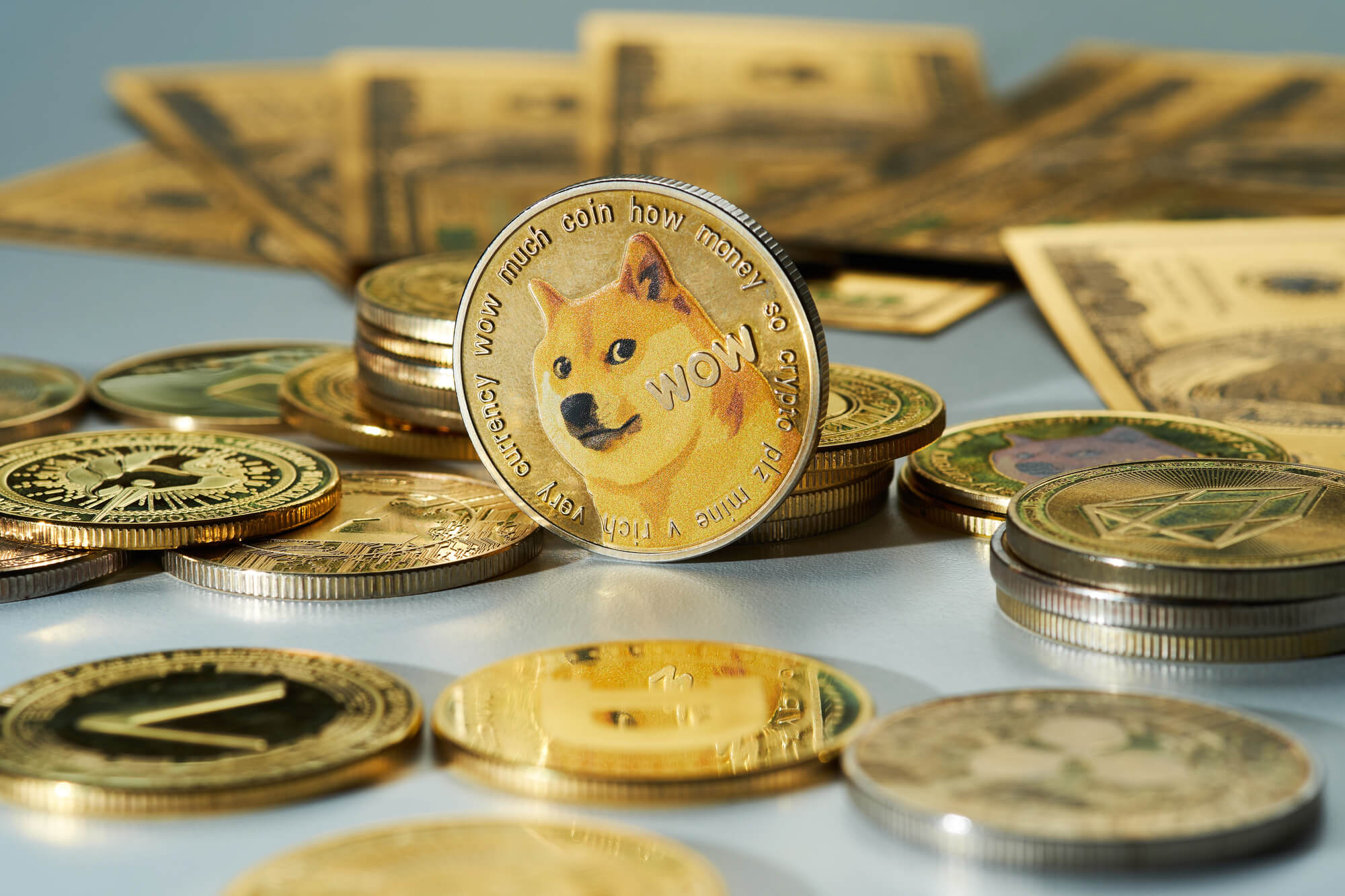 Что такое Dogecoin? От сатирического проекта к ETF-активу