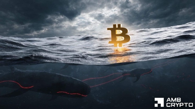 Bitcoin подвержен риску снижения: растущий Open Interest сталкивается со слабым спотовым спросом