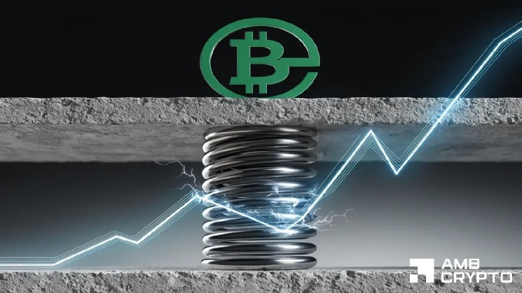 Des clusters de liquidation BCH se forment au-dessus du prix — Le cap des 232 $ est-il le prochain ?