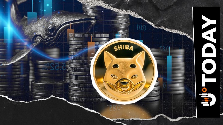 SHIB: Il Netflow sugli Exchange Crolla del 97% con 226 Miliardi di Token che Tornano agli Exchange