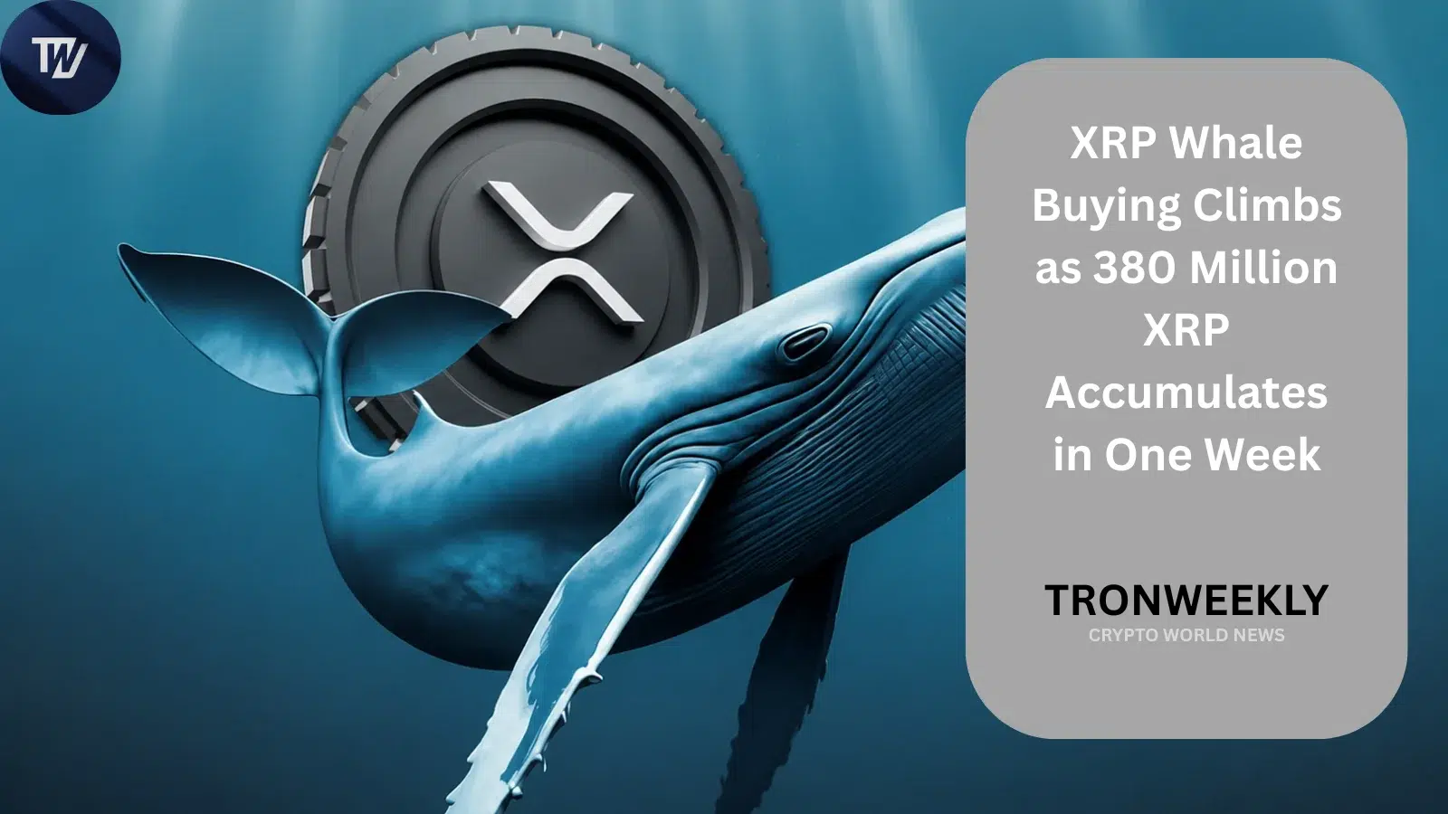 Киты XRP накопили 380 миллионов токенов за неделю, пока ключевое сопротивление удерживается на уровне $1.06