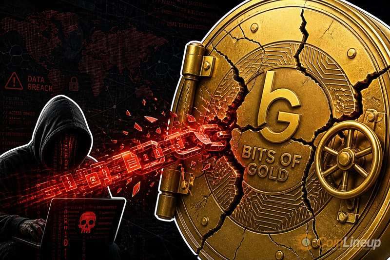 Bits of Gold сообщила, что в результате утечки данных могли быть раскрыты данные до 250 000 клиентов