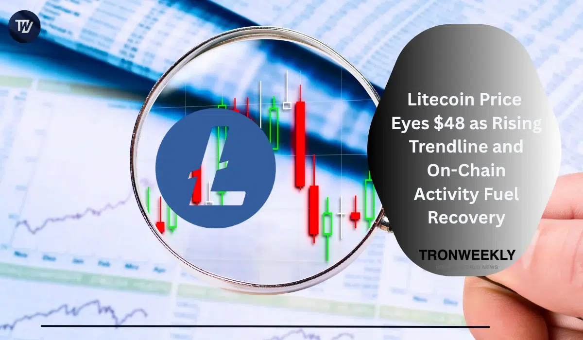 Litecoin нацелен на $48 на фоне восходящей трендовой линии и роста ончейн-активности