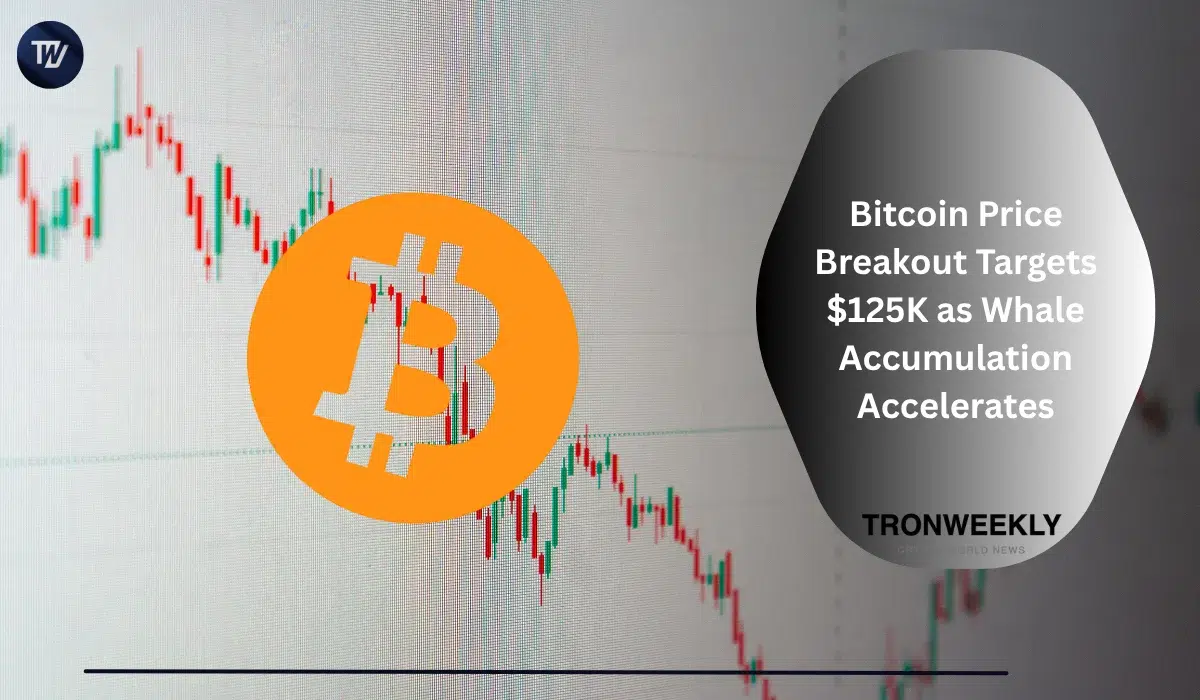 Bitcoin Breakout Pattern Targets $125,000 as Whale Accumulation Outpaces Retail Decline